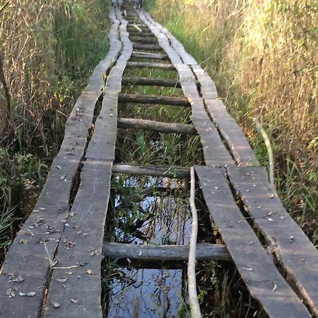 Pincelakat Borhaz Es Szalloda Csaszartoltes Экстерьер фото